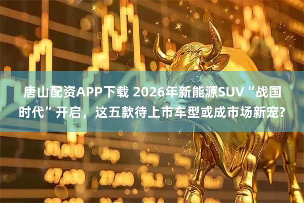 唐山配资APP下载 2026年新能源SUV“战国时代”开启，这五款待上市车型或成市场新宠?