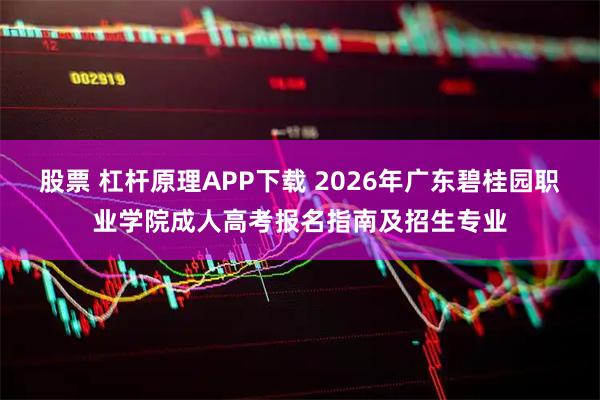 股票 杠杆原理APP下载 2026年广东碧桂园职业学院成人高考报名指南及招生专业