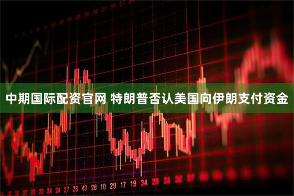 中期国际配资官网 特朗普否认美国向伊朗支付资金